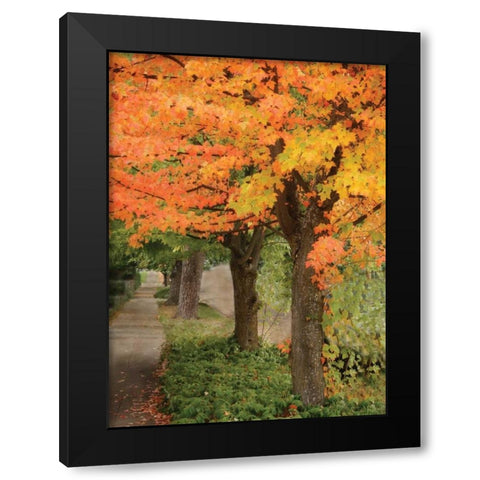 Fall Maple Fever II Black Modern Wood Framed Art Print with Double Matting by Geyman, Vitaly