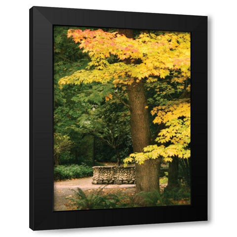 Fall Maple Fever XI Black Modern Wood Framed Art Print with Double Matting by Geyman, Vitaly