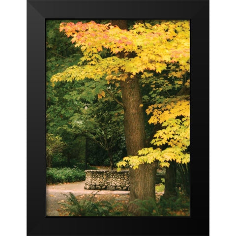 Fall Maple Fever XI Black Modern Wood Framed Art Print by Geyman, Vitaly
