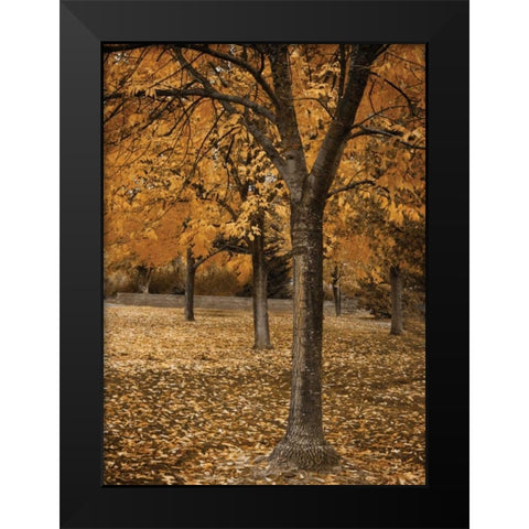Fall Tree Grove I Black Modern Wood Framed Art Print by Geyman, Vitaly