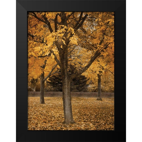 Fall Tree Grove II Black Modern Wood Framed Art Print by Geyman, Vitaly