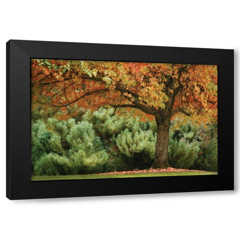 Ocean of Colors Black Modern Wood Framed Art Print with Double Matting by Geyman, Vitaly