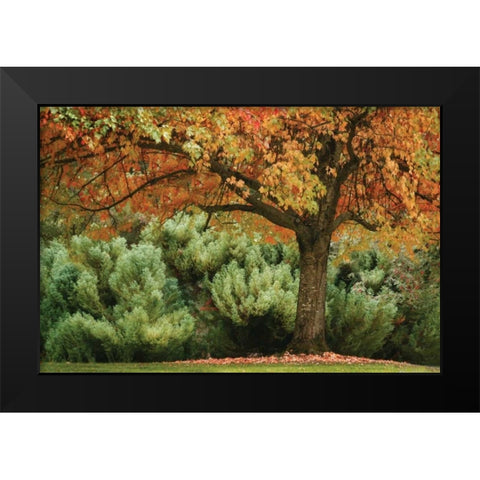 Ocean of Colors Black Modern Wood Framed Art Print by Geyman, Vitaly