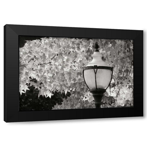 Fall Lighting II BandW Black Modern Wood Framed Art Print by Geyman, Vitaly