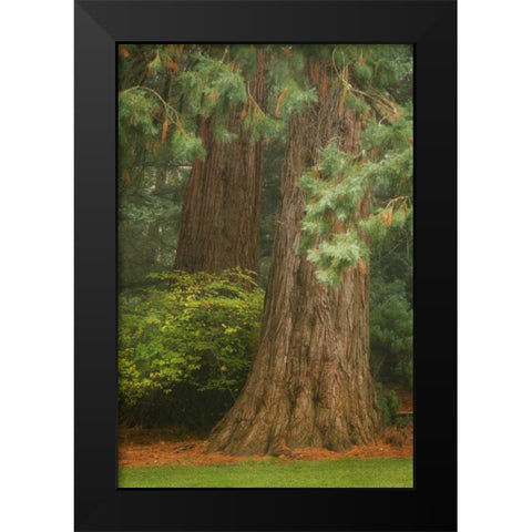 Ancient Forest I Black Modern Wood Framed Art Print by Geyman, Vitaly
