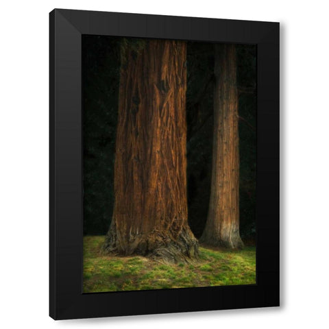Ancient Forest II Black Modern Wood Framed Art Print by Geyman, Vitaly