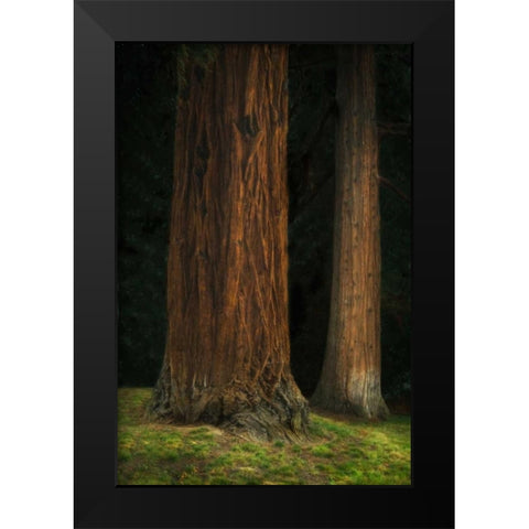 Ancient Forest II Black Modern Wood Framed Art Print by Geyman, Vitaly