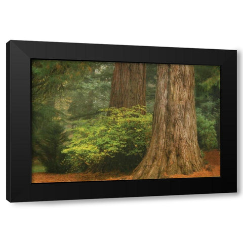 Ancient Forest III Black Modern Wood Framed Art Print with Double Matting by Geyman, Vitaly