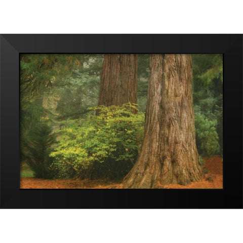 Ancient Forest III Black Modern Wood Framed Art Print by Geyman, Vitaly