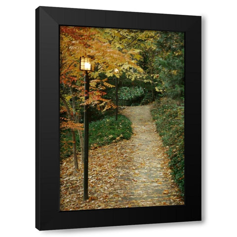 Autumn Path I Black Modern Wood Framed Art Print with Double Matting by Geyman, Vitaly