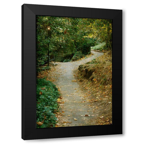 Autumn Path II Black Modern Wood Framed Art Print by Geyman, Vitaly