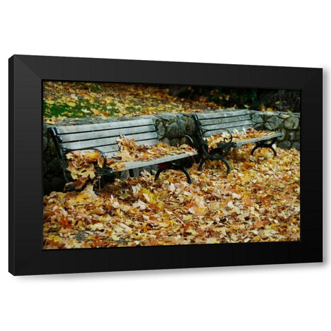 Autumn Paradise I Black Modern Wood Framed Art Print with Double Matting by Geyman, Vitaly