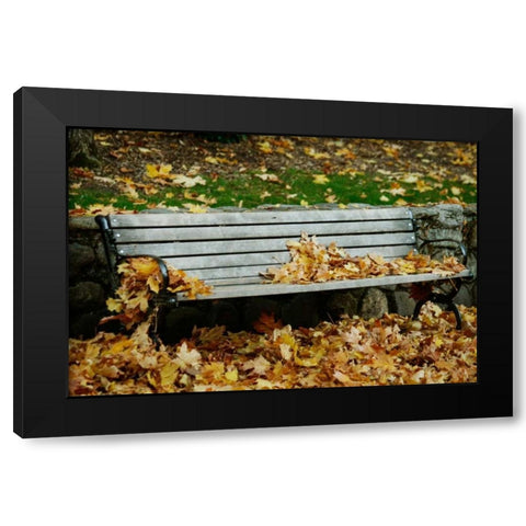 Autumn Paradise II Black Modern Wood Framed Art Print by Geyman, Vitaly