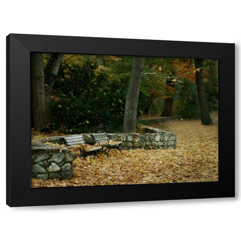 Autumn Paradise III Black Modern Wood Framed Art Print with Double Matting by Geyman, Vitaly