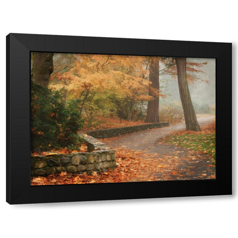 Autumn Paradise IV Black Modern Wood Framed Art Print by Geyman, Vitaly