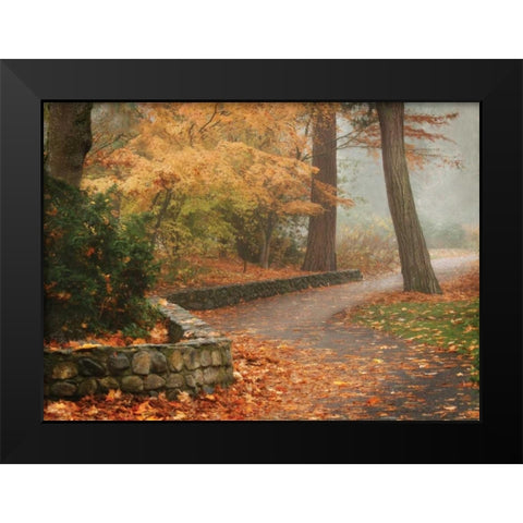 Autumn Paradise IV Black Modern Wood Framed Art Print by Geyman, Vitaly