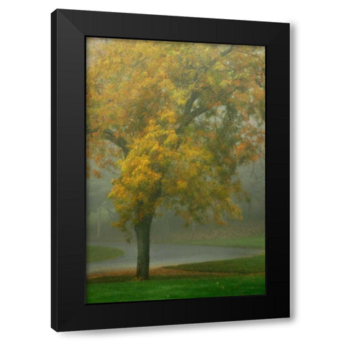 Colors in the Mist V Black Modern Wood Framed Art Print with Double Matting by Geyman, Vitaly