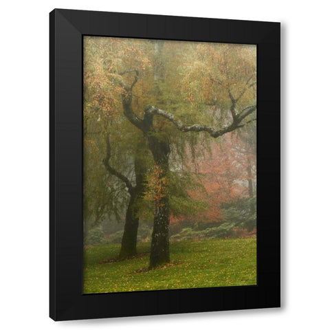 Colors in the Mist VI Black Modern Wood Framed Art Print with Double Matting by Geyman, Vitaly