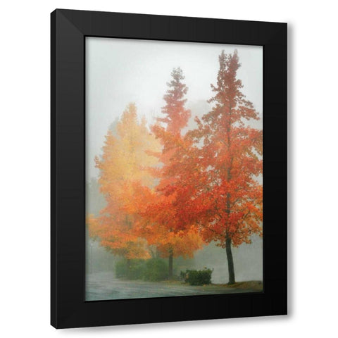 Colors in the Mist I Black Modern Wood Framed Art Print with Double Matting by Geyman, Vitaly