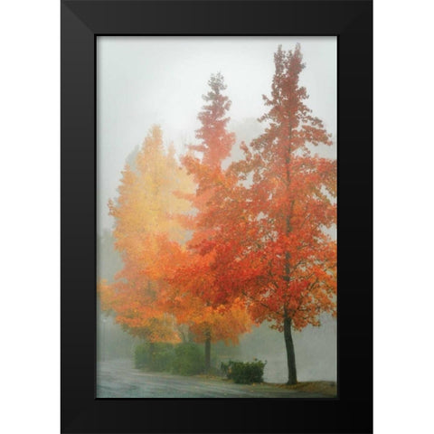 Colors in the Mist I Black Modern Wood Framed Art Print by Geyman, Vitaly
