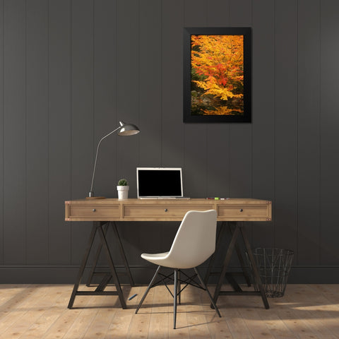 Fall Bouquet I Black Modern Wood Framed Art Print by Geyman, Vitaly