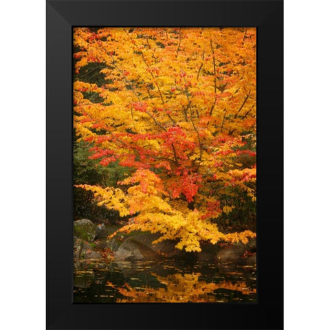 Fall Bouquet I Black Modern Wood Framed Art Print by Geyman, Vitaly