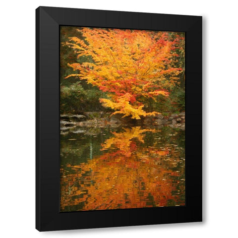 Fall Bouquet II Black Modern Wood Framed Art Print with Double Matting by Geyman, Vitaly