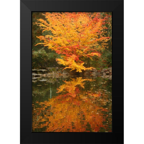 Fall Bouquet II Black Modern Wood Framed Art Print by Geyman, Vitaly