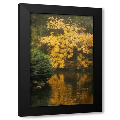 Autumn Reflections I Black Modern Wood Framed Art Print with Double Matting by Geyman, Vitaly
