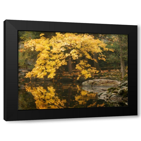 Autumn Reflections II Black Modern Wood Framed Art Print by Geyman, Vitaly