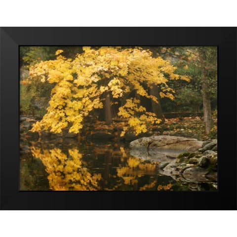 Autumn Reflections II Black Modern Wood Framed Art Print by Geyman, Vitaly