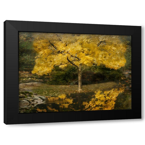 Autumn Reflections III Black Modern Wood Framed Art Print by Geyman, Vitaly