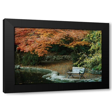 Autumn Trio II Black Modern Wood Framed Art Print with Double Matting by Geyman, Vitaly