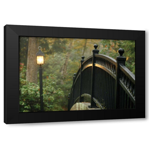 Bridge of Light I Black Modern Wood Framed Art Print by Geyman, Vitaly