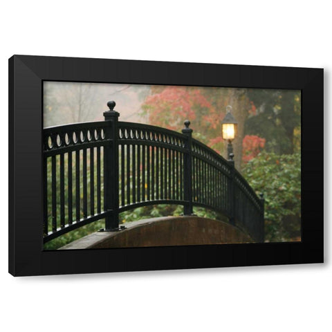 Bridge of Light II Black Modern Wood Framed Art Print by Geyman, Vitaly