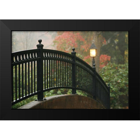 Bridge of Light II Black Modern Wood Framed Art Print by Geyman, Vitaly