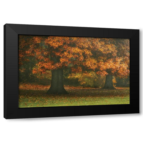 Red Oak Duo I Black Modern Wood Framed Art Print with Double Matting by Geyman, Vitaly