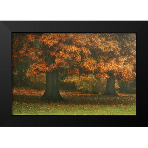 Red Oak Duo I Black Modern Wood Framed Art Print by Geyman, Vitaly