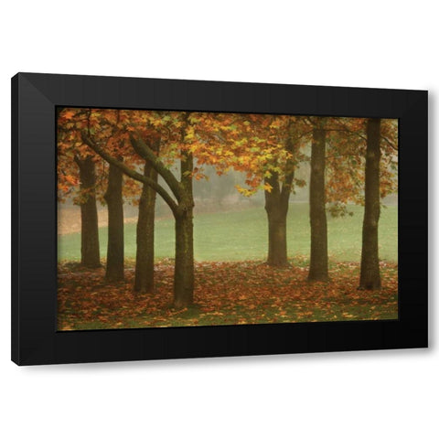 Colors in the Mist VII Black Modern Wood Framed Art Print with Double Matting by Geyman, Vitaly