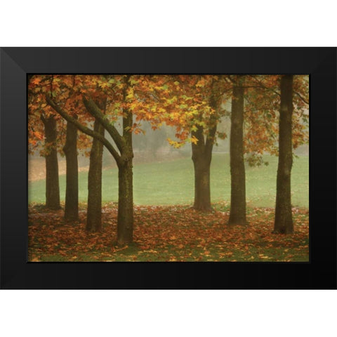 Colors in the Mist VII Black Modern Wood Framed Art Print by Geyman, Vitaly