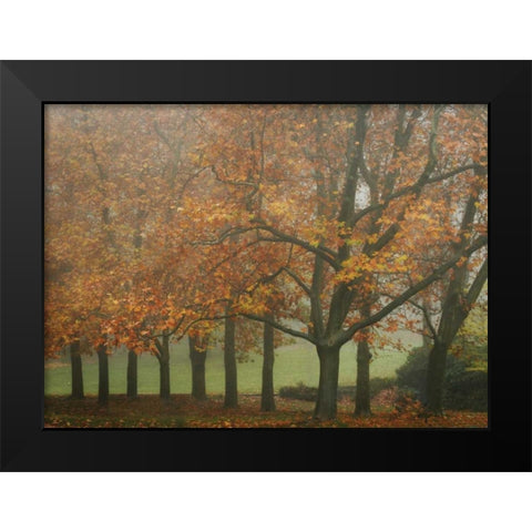 Colors in the Mist VIII Black Modern Wood Framed Art Print by Geyman, Vitaly