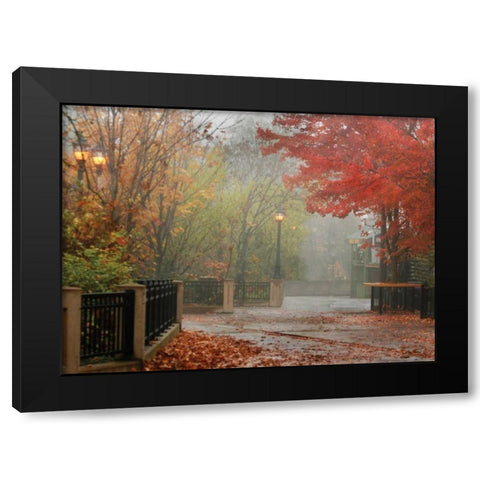 Fall Plaza I Black Modern Wood Framed Art Print by Geyman, Vitaly