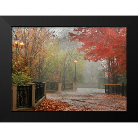 Fall Plaza I Black Modern Wood Framed Art Print by Geyman, Vitaly