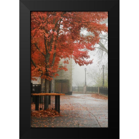 Fall Plaza IV Black Modern Wood Framed Art Print by Geyman, Vitaly