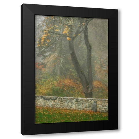 Fence Mosaic II Black Modern Wood Framed Art Print with Double Matting by Geyman, Vitaly