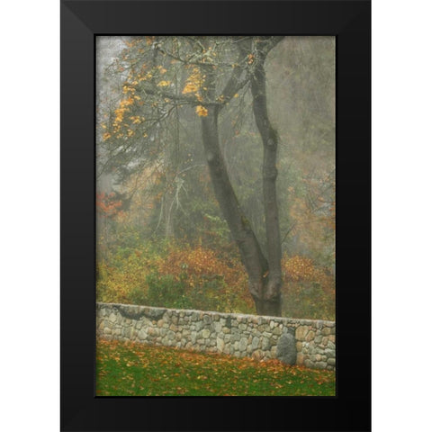 Fence Mosaic II Black Modern Wood Framed Art Print by Geyman, Vitaly