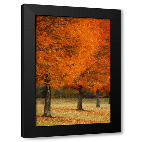 Splash of Color II Black Modern Wood Framed Art Print with Double Matting by Geyman, Vitaly