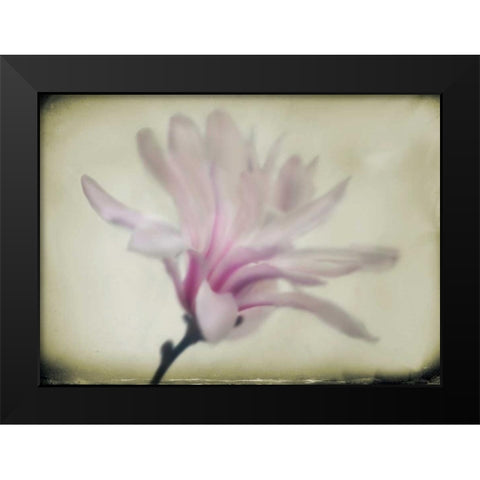 Floral Dreams I Black Modern Wood Framed Art Print by Geyman, Vitaly