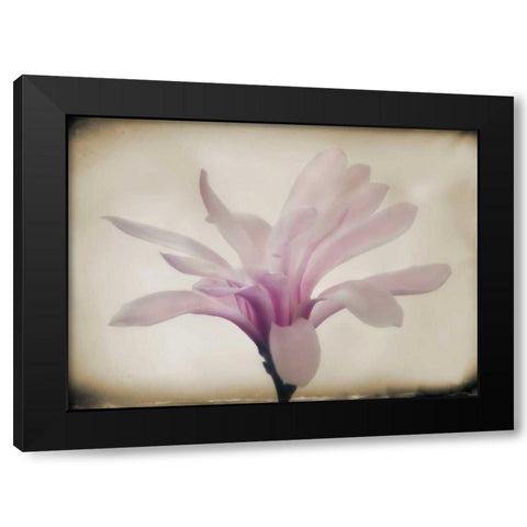 Floral Dreams II Black Modern Wood Framed Art Print with Double Matting by Geyman, Vitaly