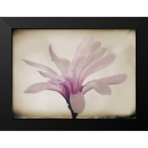 Floral Dreams II Black Modern Wood Framed Art Print by Geyman, Vitaly